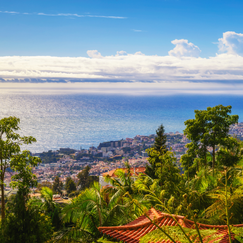 YOUR DREAM SPACE 1024x1024 (5)